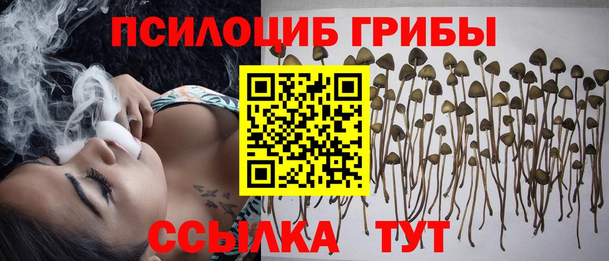 Псилоцибиновые грибы ЛСД Амурск